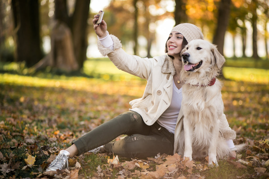 Top 5 Doggy Instagram Accounts to Follow