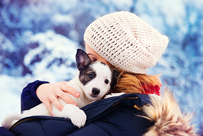 Tips and recommendations for house breaking your puppy in the winter